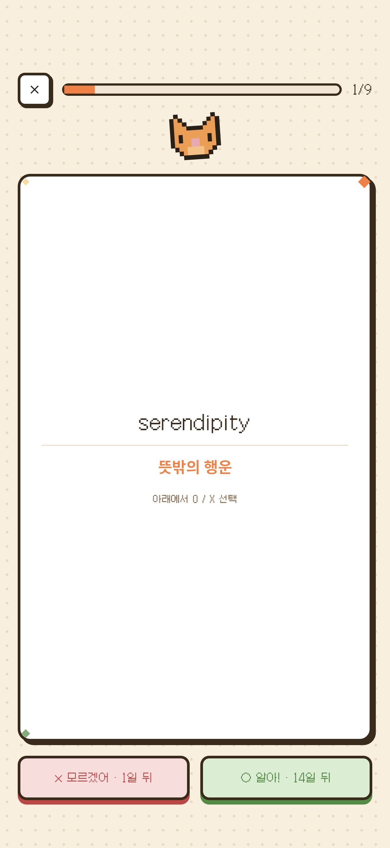 정답 확인 화면 — 카드 뒷면과 O/X 버튼